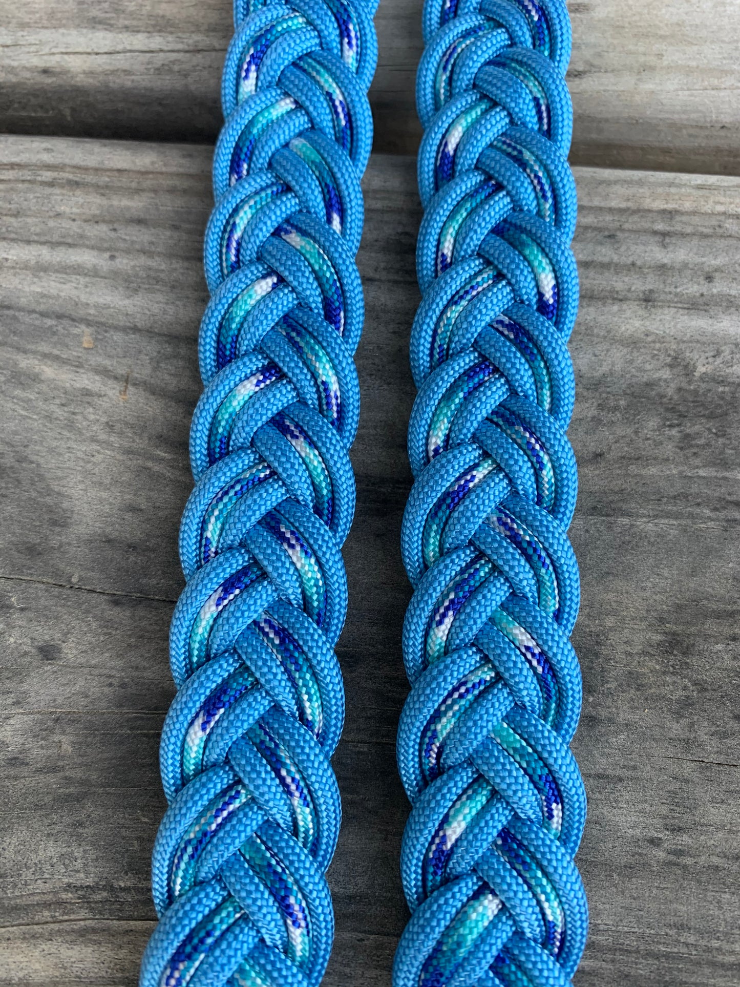 Blue and icy blue reins