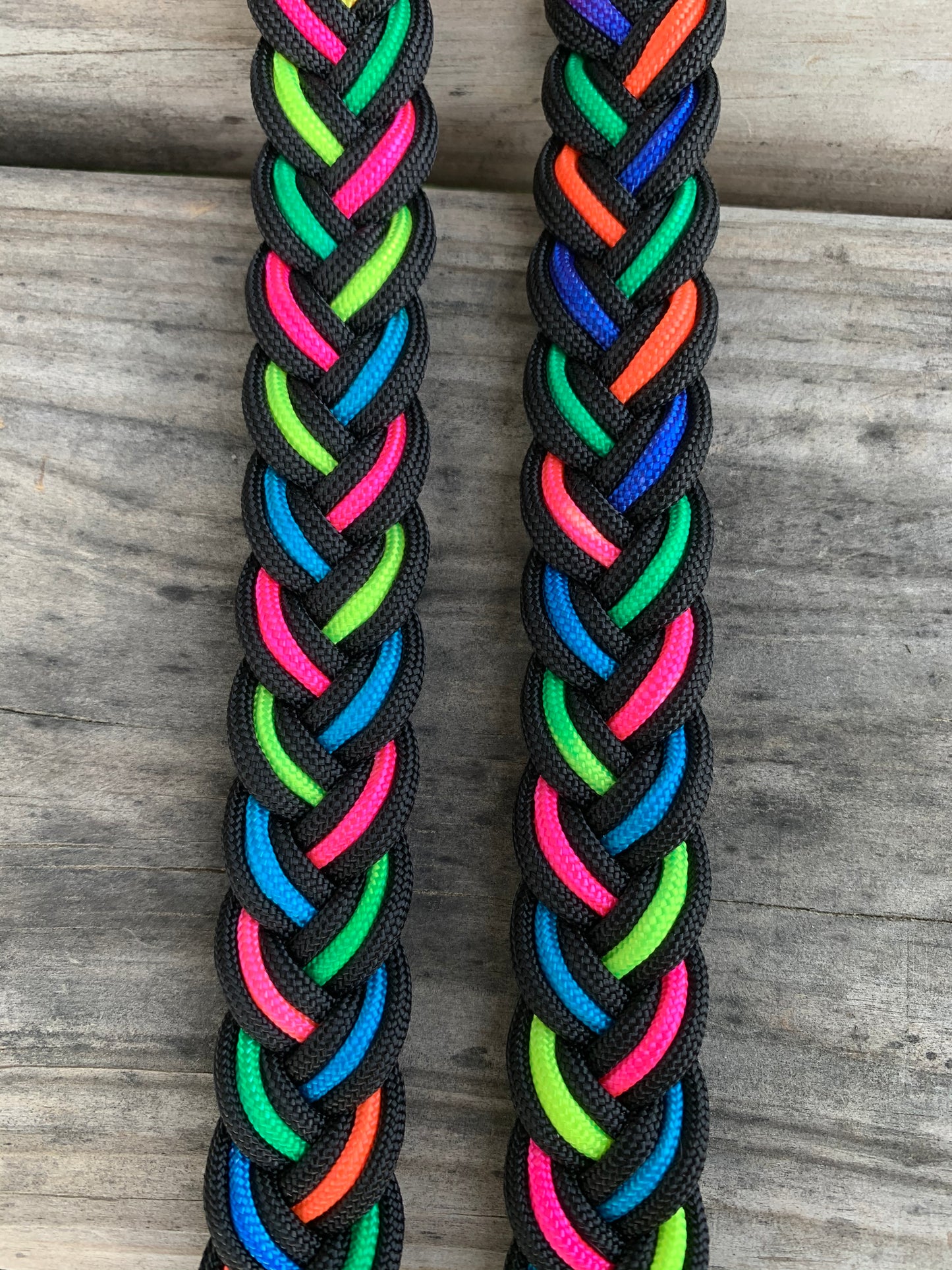 Rainbow Reins